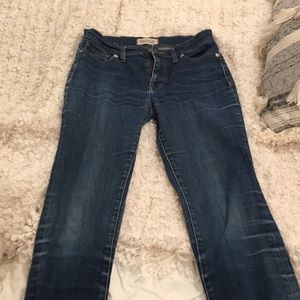 Madewell High Riser Skinny Jean 27 Atlantic